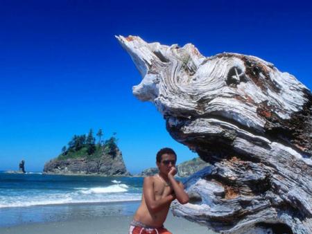 summer
